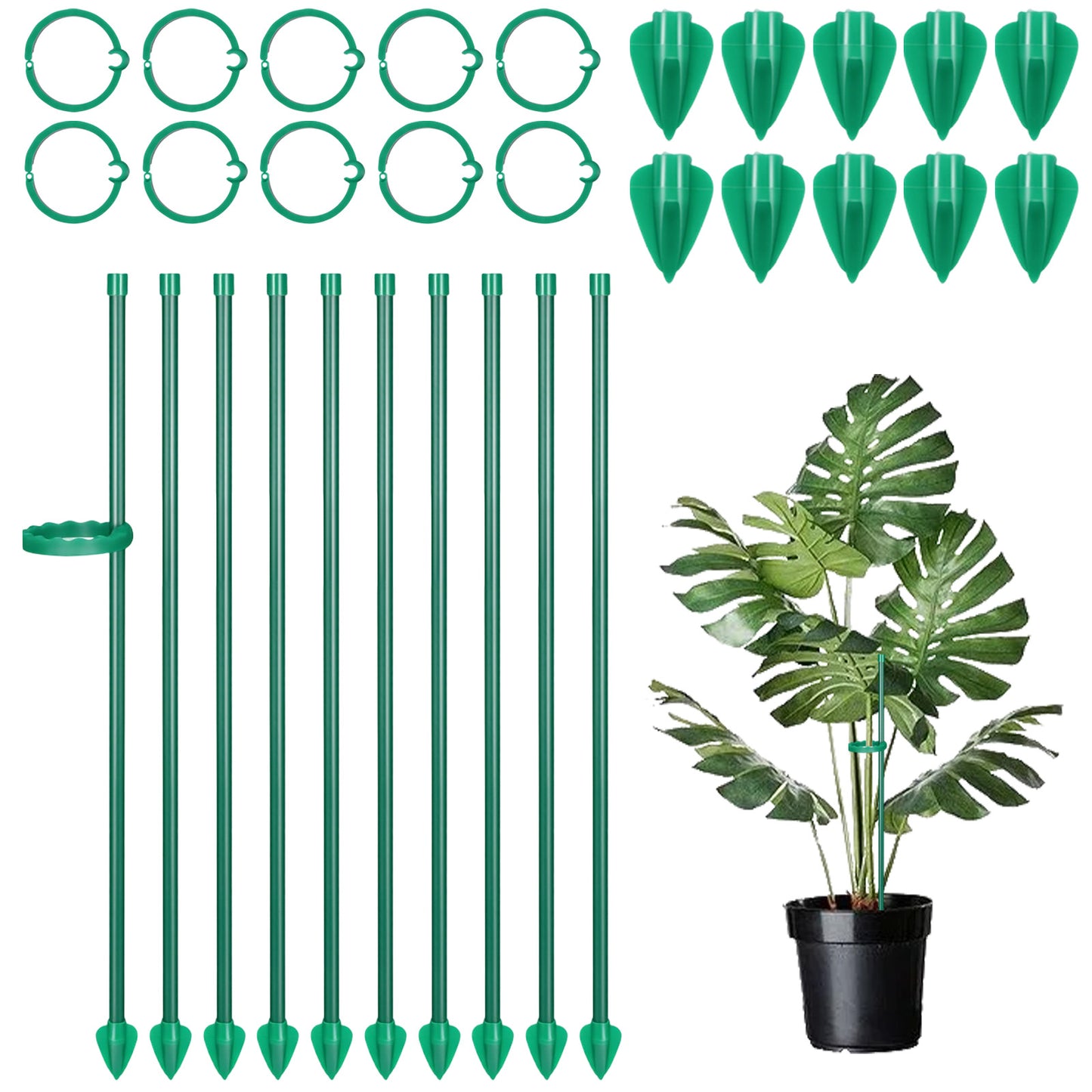 Hadnves 10PCS Plant Stakes Plant Sticks Support Tall Garden Single Stem Flower Support Stake Plants Cage SupportRings Garden Accessories for Rose Flower Monstera Orchids Tomatoes Vines Indoor Outdoor