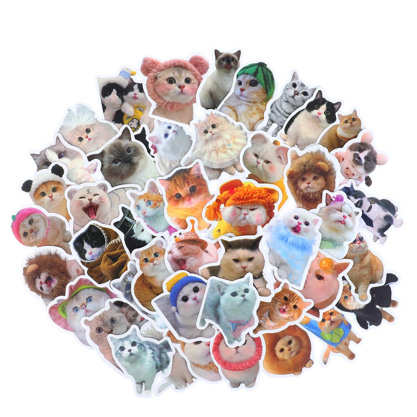 100pcs Capybara Stickers Cute Brown Stickers Waterproof Cartoon Animal Decals Nature Party Favors & Gifts for Adults Teens Girls Water Bottle Laptop Luggage Helmet Skateboard Motorcycle (Colorful)