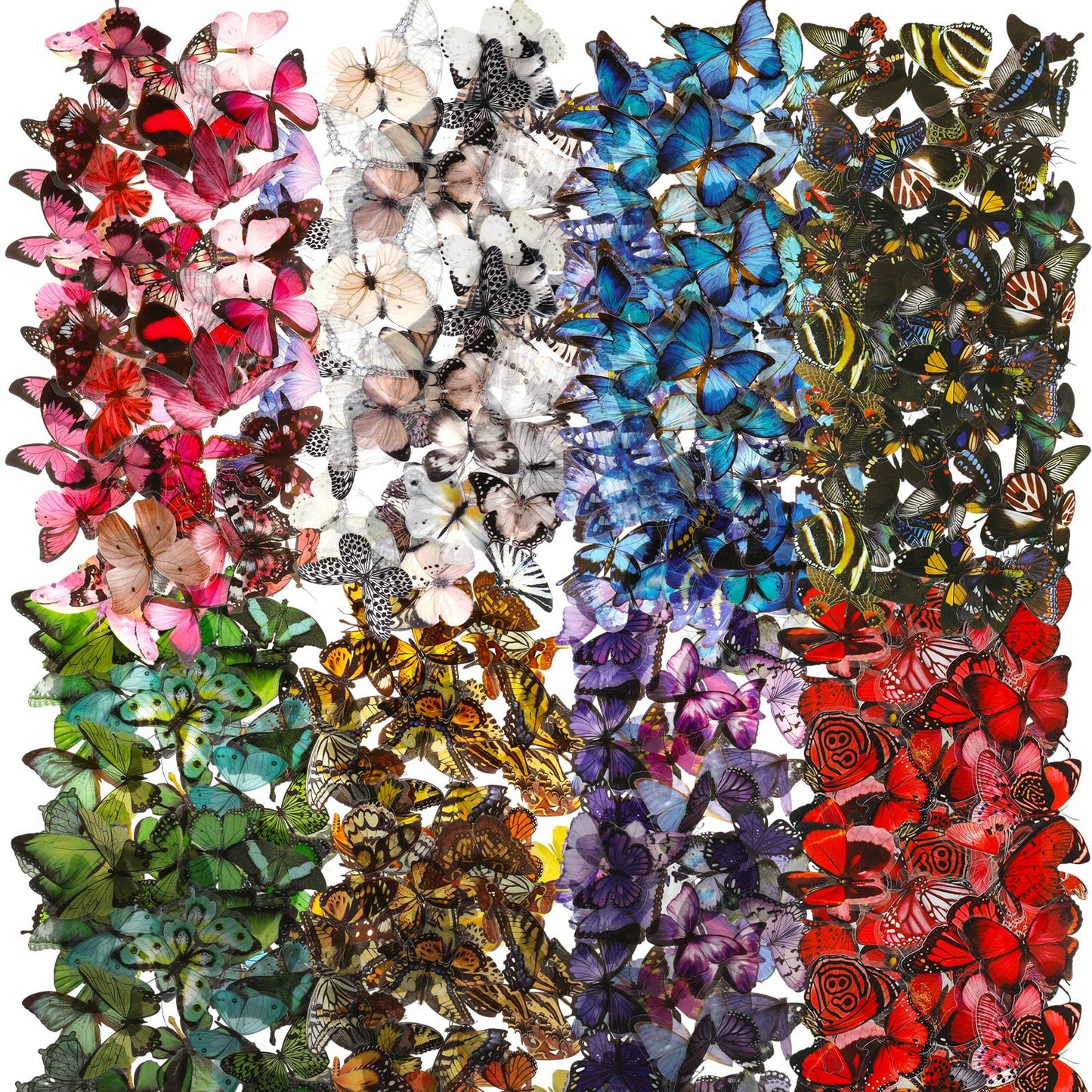 Ptwola Pack of 240 Butterfly Scrapbooking Stickers, Colourful Transparent PET Waterproof Resin Stickers for DIY Decoration, Photo Album, Scrapbook, Laptops, Craft, Luggage, Wall, Window (480)