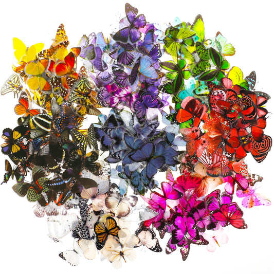 COMNICO 320PCS Butterfly Stickers, PET Waterproof Transparent Colorful Decals Decorative for Nature Scrapbook Planners Laptops DIY Handbook Paper Crafts(320)