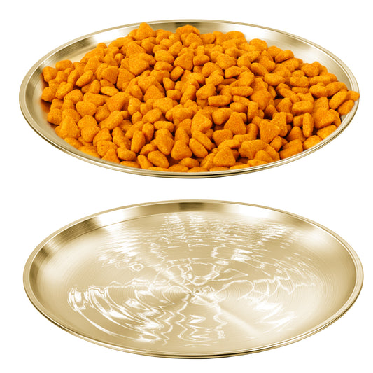 Wanmu 2Pcs Stainless Steel Cats Bowls, Wide Whisker Friendly Cat Dishes Set, Wide Metal Food Bowl, Shallow Food Bowl, Relief Whisker Fatigue Cat Dishes, Outdoor Kitten Feeding Wet & Dry Food (Gold)