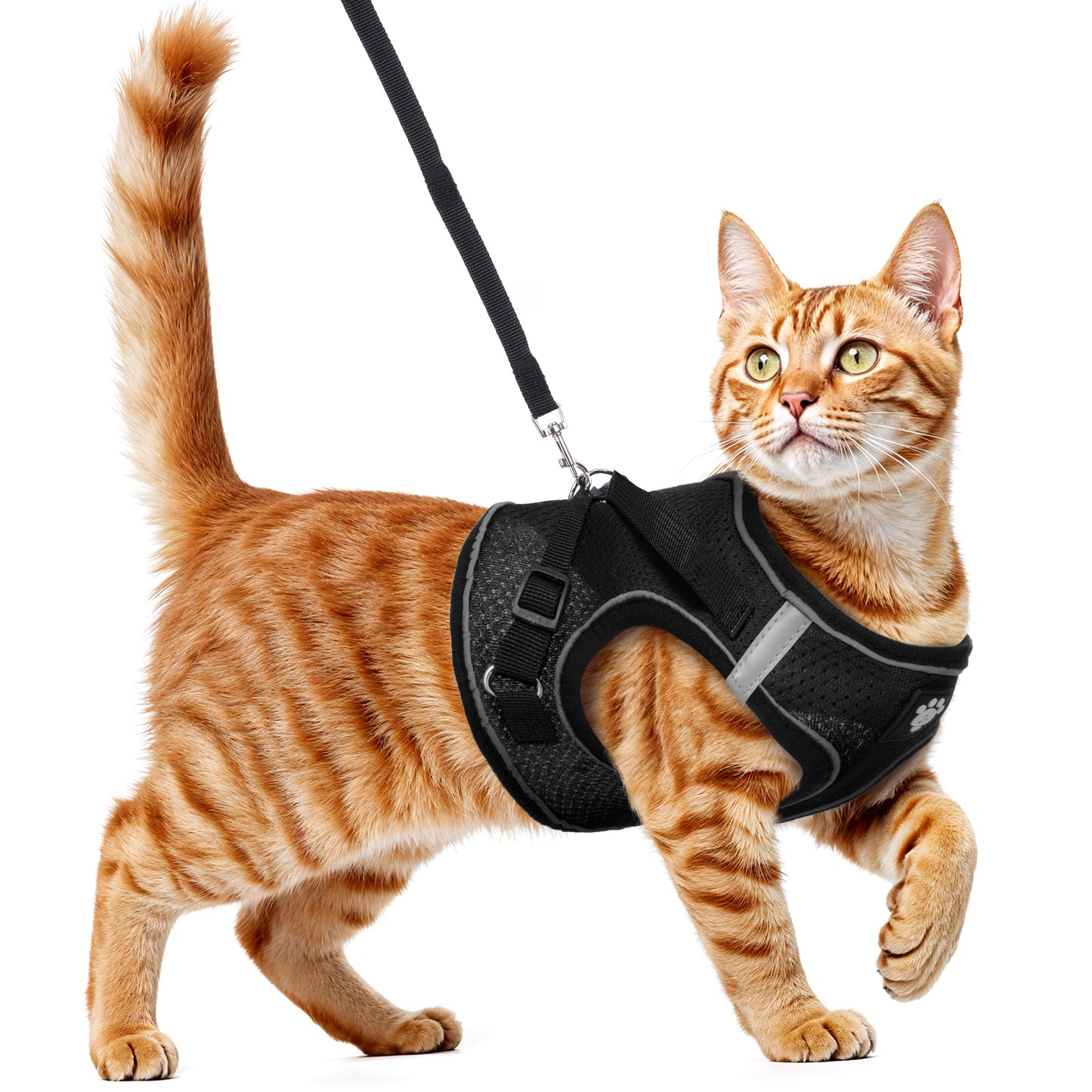 Wanmu Cat Harness and Leash, Escape Proof Cat Harness for Walking, Breathable Lightweight Soft Vest for Outdoor Travel, Camping, No-Choke Design (Black, XL)