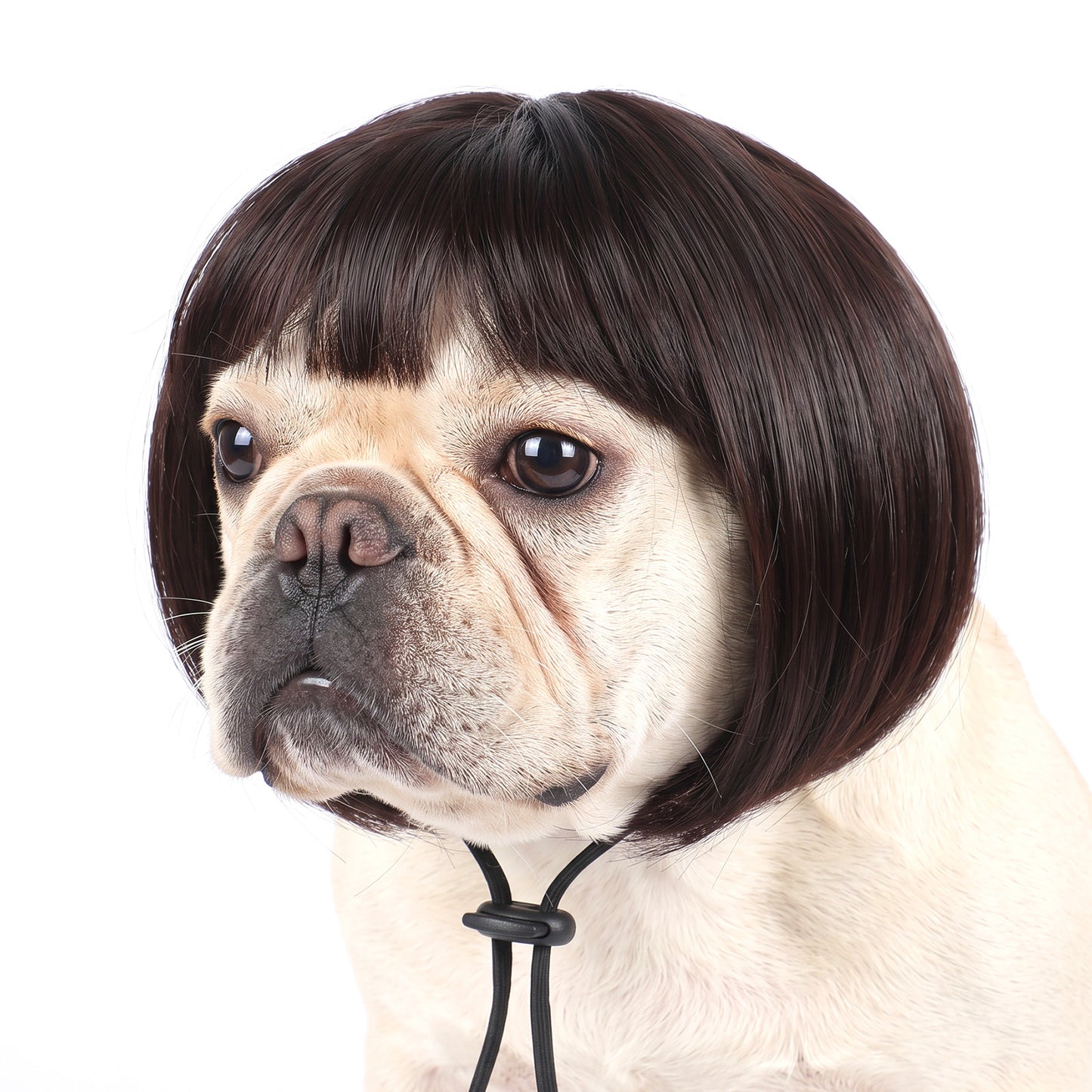 Sibba Funny Dog Wig for Small, Medium, Large Dogs, Pet Wigs for Dog Cat