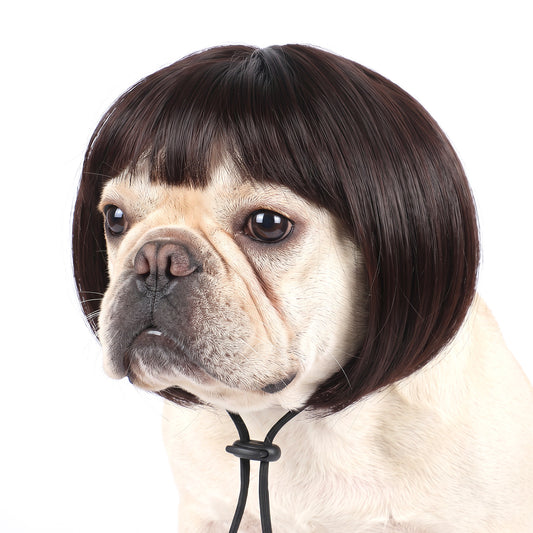 Sibba Funny Dog Wig for Small, Medium, Large Dogs, Pet Wigs for Dog Cat