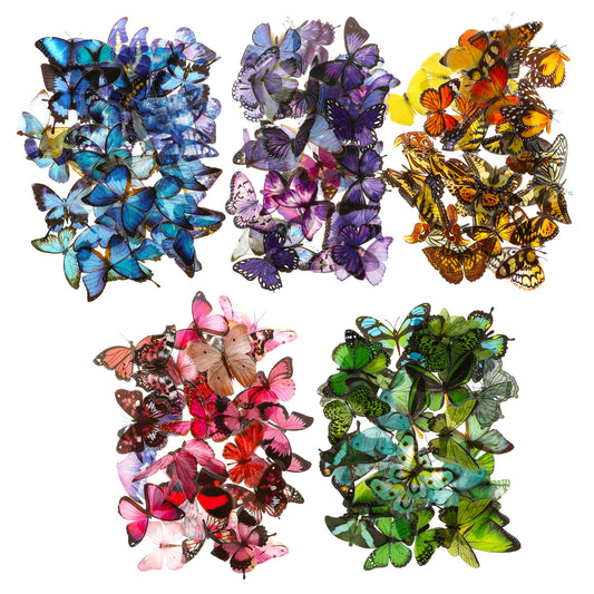 COMNICO 200pcs Butterfly Stickers PET Waterproof Transparent Colorful Resin Decals Decorative for Nature Scrapbook Planners Laptops DIY Handbook Paper Crafts