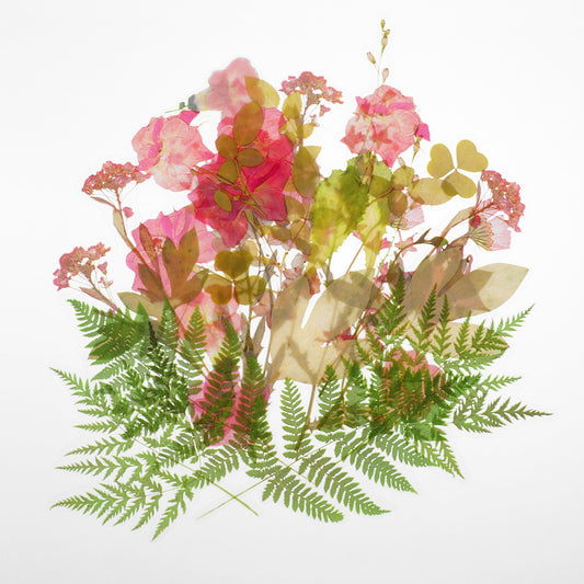 Sibba 160pcs Plants Floral Stickers for Scrapbooking, Self-Adhesive Vintage Floral Leaves Scrapbook Stickers Botanical for Decoration Planners Dairy Journal Card Letters Laptops Phone Case DIY Crafts
