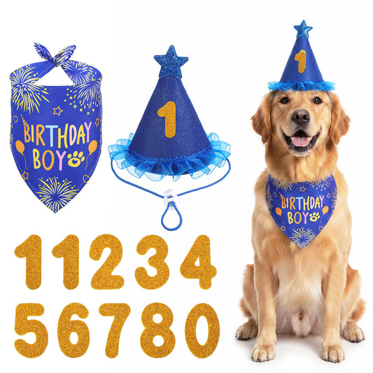 Rose Pink Dog Birthday Bandana Set