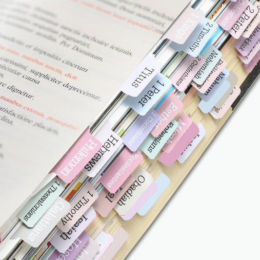 Dimeho 5 Pcs Laminated Bible Tabs Neutral Mild Color Mark Stickers Easy to Read and Apply Bible Index Book Tabs Foldable Large Print Bible Tab Set for Women and Men Including 9 Blank Tabs