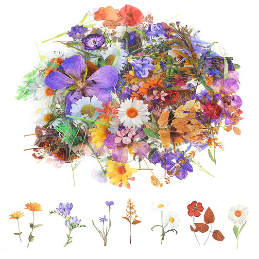 Wanmu Transparent Flower Stickers for Scrapbooking, 120 Pcs Colorful Small Pressed Flower Stickers, Vintage Stickers, Nature Plant Stickers for Journaling, Scrapbooking, Planner Laptops