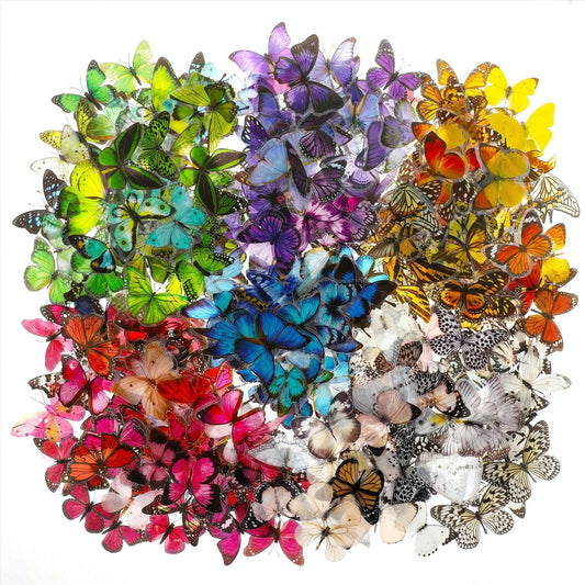 Wanmu 480 Pcs Realistic Butterfly Stickers, Waterproof Vintage 3D Butterfly Stickers Colorful Window Decals Decorative for Nature Scrapbook Planners Laptops Journal DIY Craft Supplies