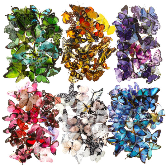 COMNICO 240PCS Butterfly Stickers, PET Waterproof Transparent Colorful Resin Decals Decorative for Nature Scrapbook Planners Laptops DIY Handbook Paper Crafts