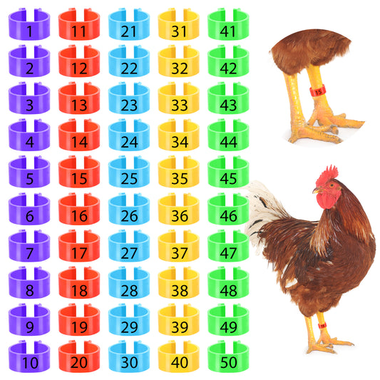 Wanmu 50Pcs Chicken Leg Bands, 16mm 5 Colors 1-50 Numbered Identification Tags, Chicken Accessories, Poultry Leg Bands for Ducks, Chicks, Goose, Gamefowl, Turkey