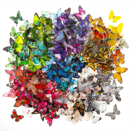 COMNICO Butterfly Stickers, PET Waterproof Transparent Colorful Resin Decals Decorative for Nature Scrapbook Planners Laptops DIY Handbook Paper Crafts