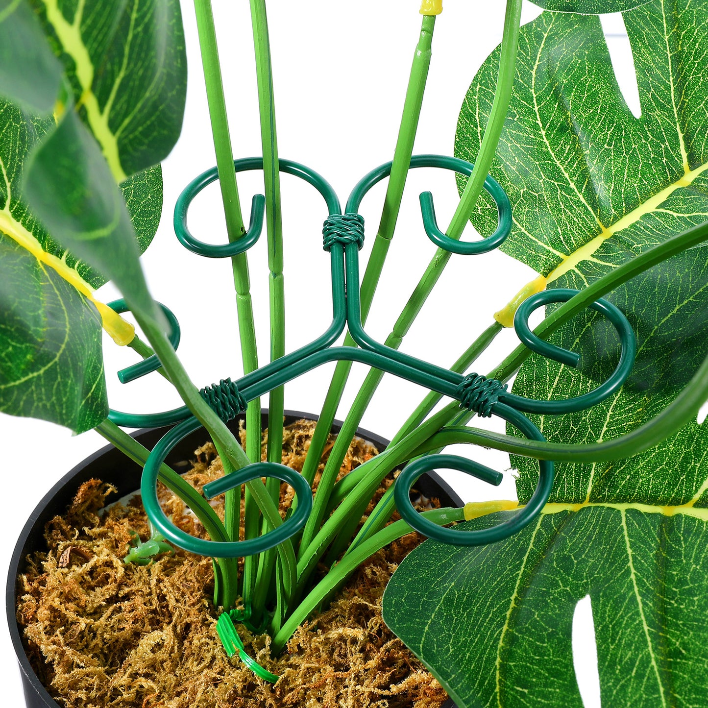 Qianyu 4 Pcs Green Iron Monstera Support Durable Metal Stem Supports Monstera Plant Support Hook Durable Plant Stem Holder Turtle Shell Bamboo Clamp Set for Plants Lovers Fixing Plants Vines